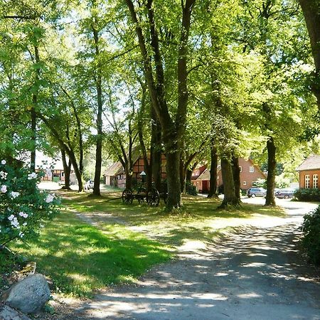Ferienpension Lindenhof - Ferienwohnungen In Der Lueneburger Heide Marxen am Berge Exteriér fotografie